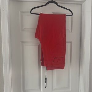 Are You In Coated Straight Leg Pant